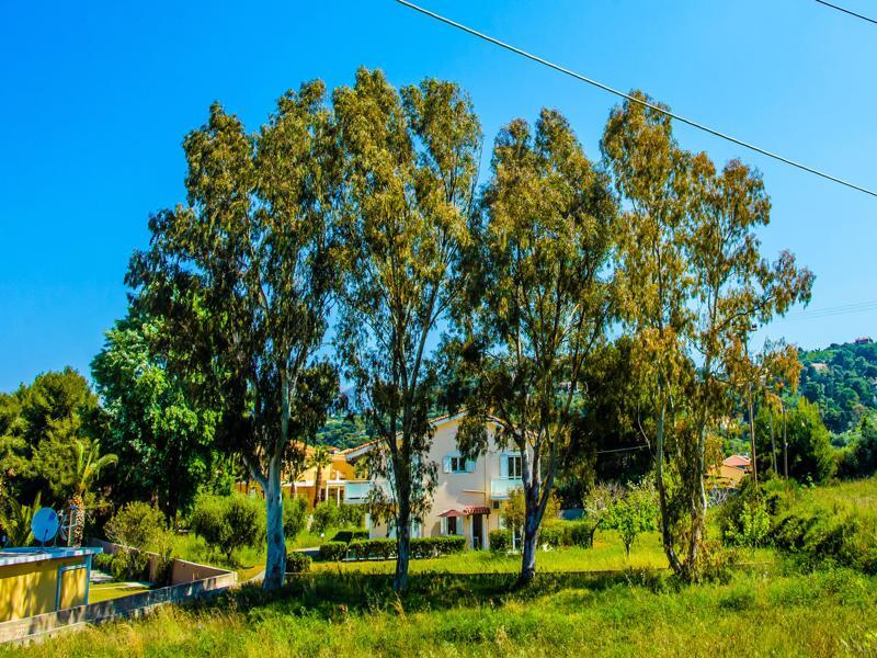 Aloni Studios And Apartments لاسي المظهر الخارجي الصورة